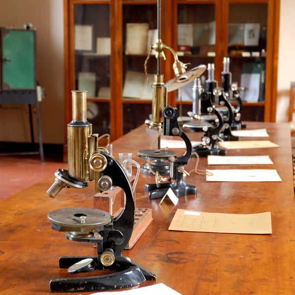 Sistema Museale di Ateneo di Pavia: Museo Camillo Golgi