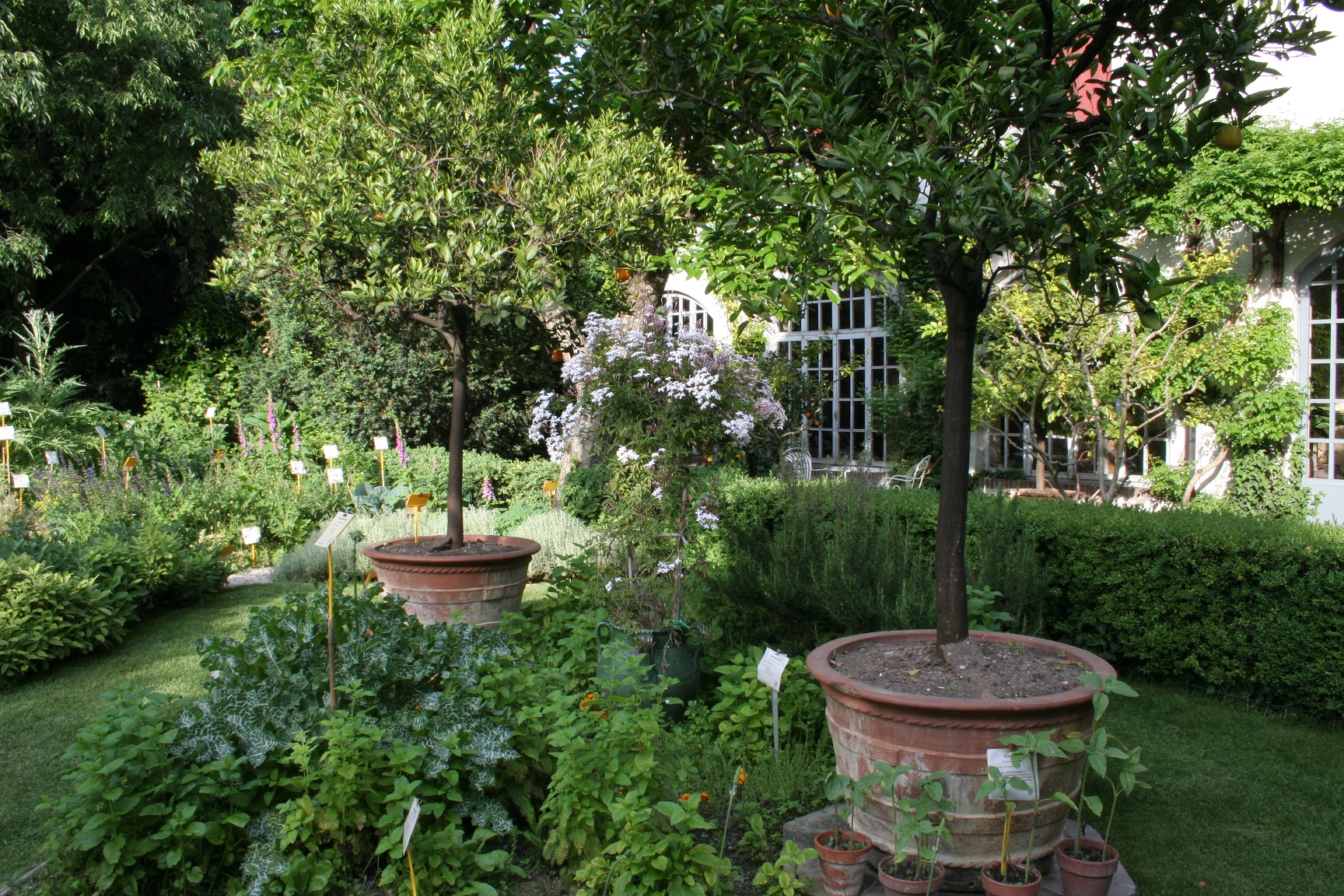 giardino