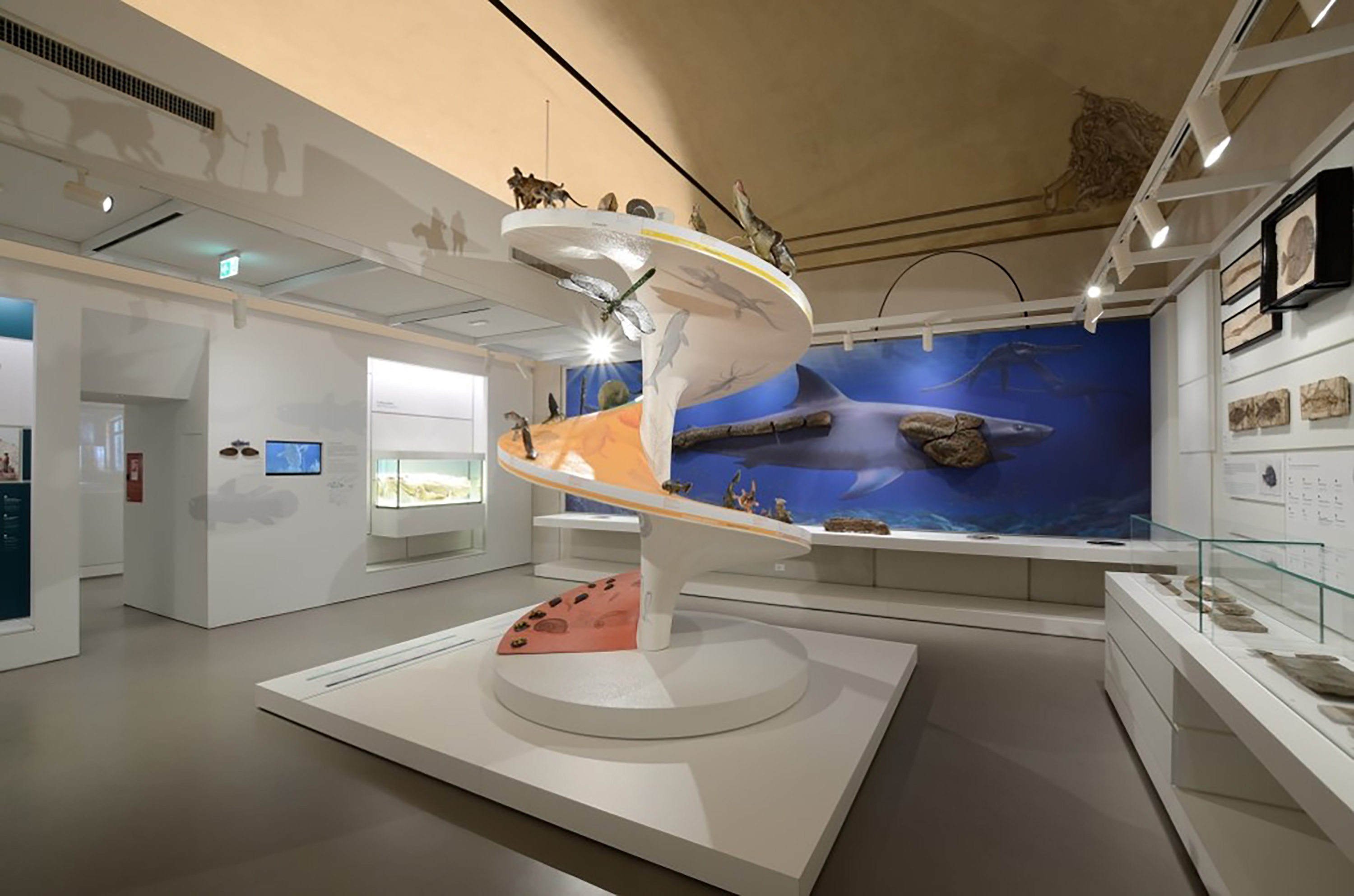 sistema museale ateneo pavia kosmos 2