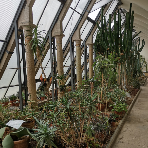 Sistema Museale di Ateneo di Pavia: Orto Botanico