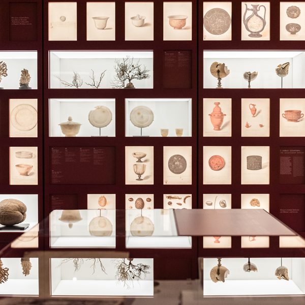 Musei, sistemi museali, reti di musei
