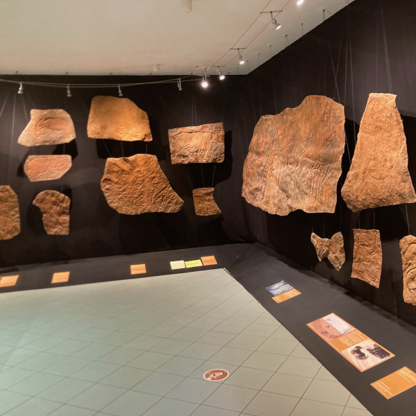 Varese, Musei Civici | Museo Etnografico Castiglioni