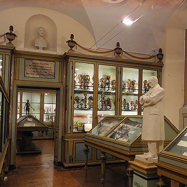 Sistema Museale di Ateneo di Pavia: Museo per la storia dell'Università