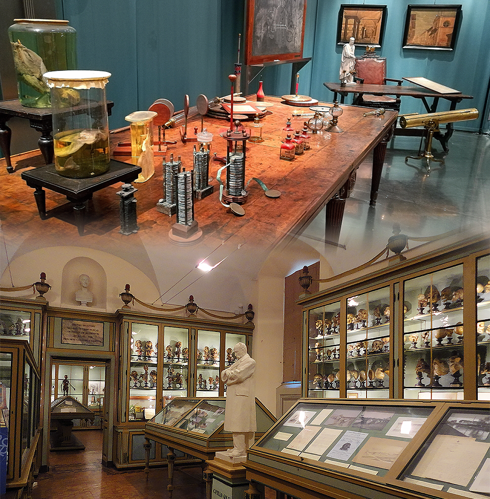 sistema museale ateneo pavia 12