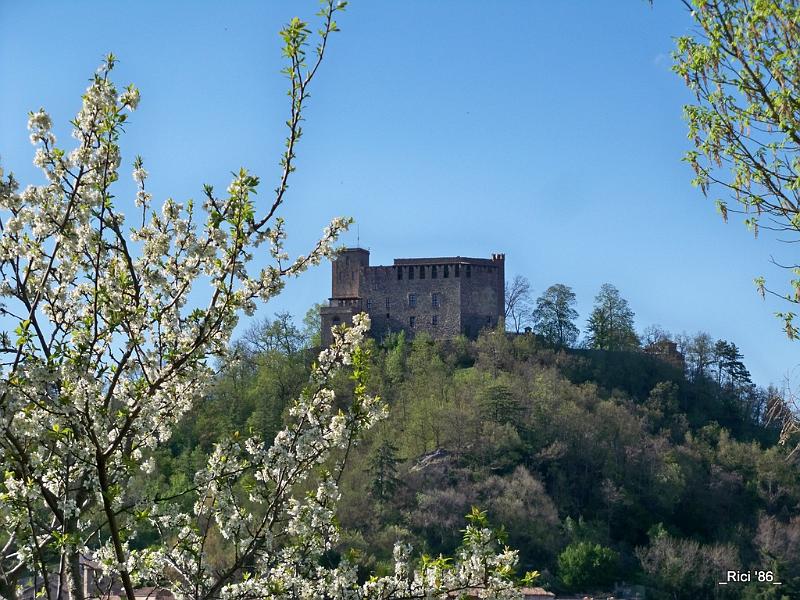 museo arte zavattarello 1