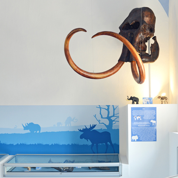 Museo paleoantropologico del Po