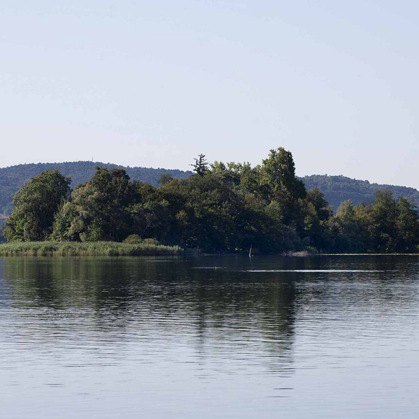 Biandronno (VA), Musei Civici | Museo e Area archeologica Isolino Virginia