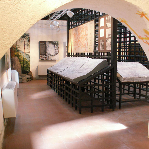 Museo Incisioni Rupestri