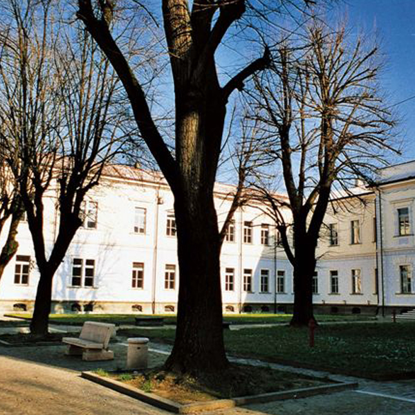 Museo Civico "Antonio Parazzi" a Viadana
