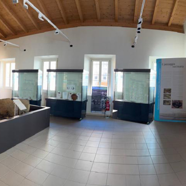 Golasecca (VA), Centro Museale GAM Golasecca Archeologia Multimediale