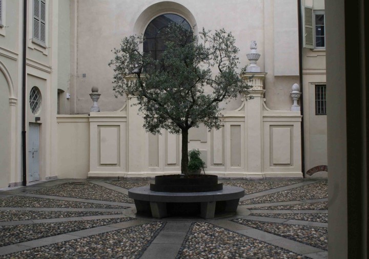 museo tesoro duomo vigevano