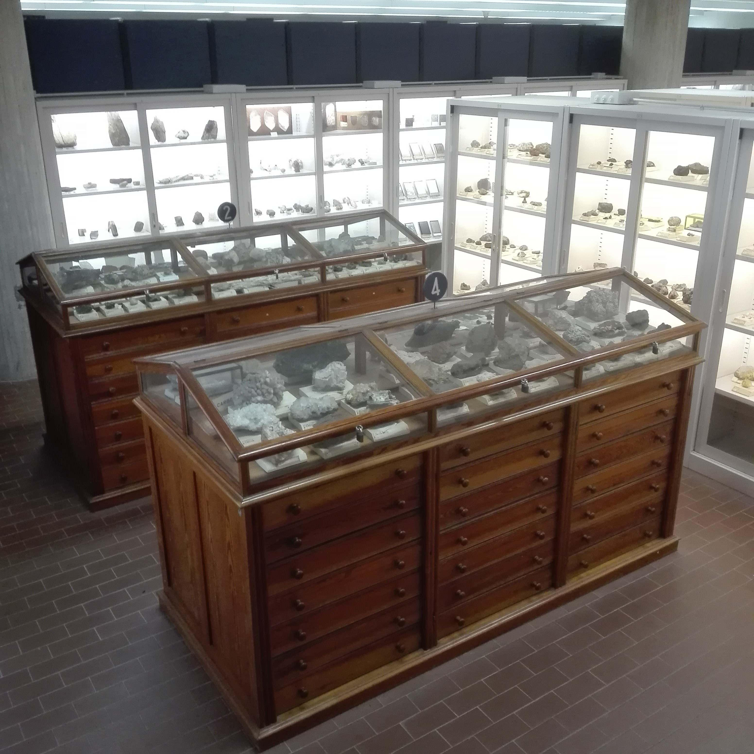 sistema museale ateneo pavia 3