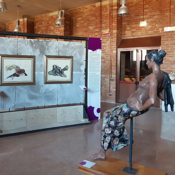 Musei Civici di Pavia: sezione '900/00
