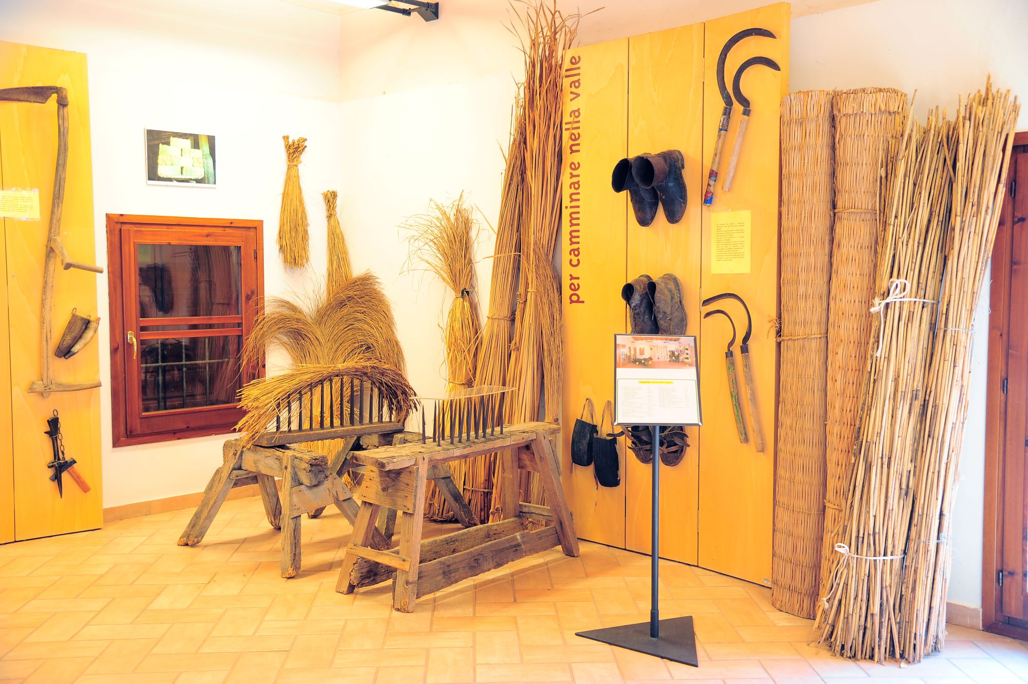 interno3