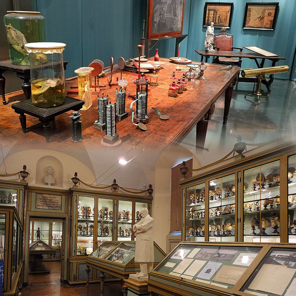 Sistema musea di Ateneo - Museo di Chimica -Pavia