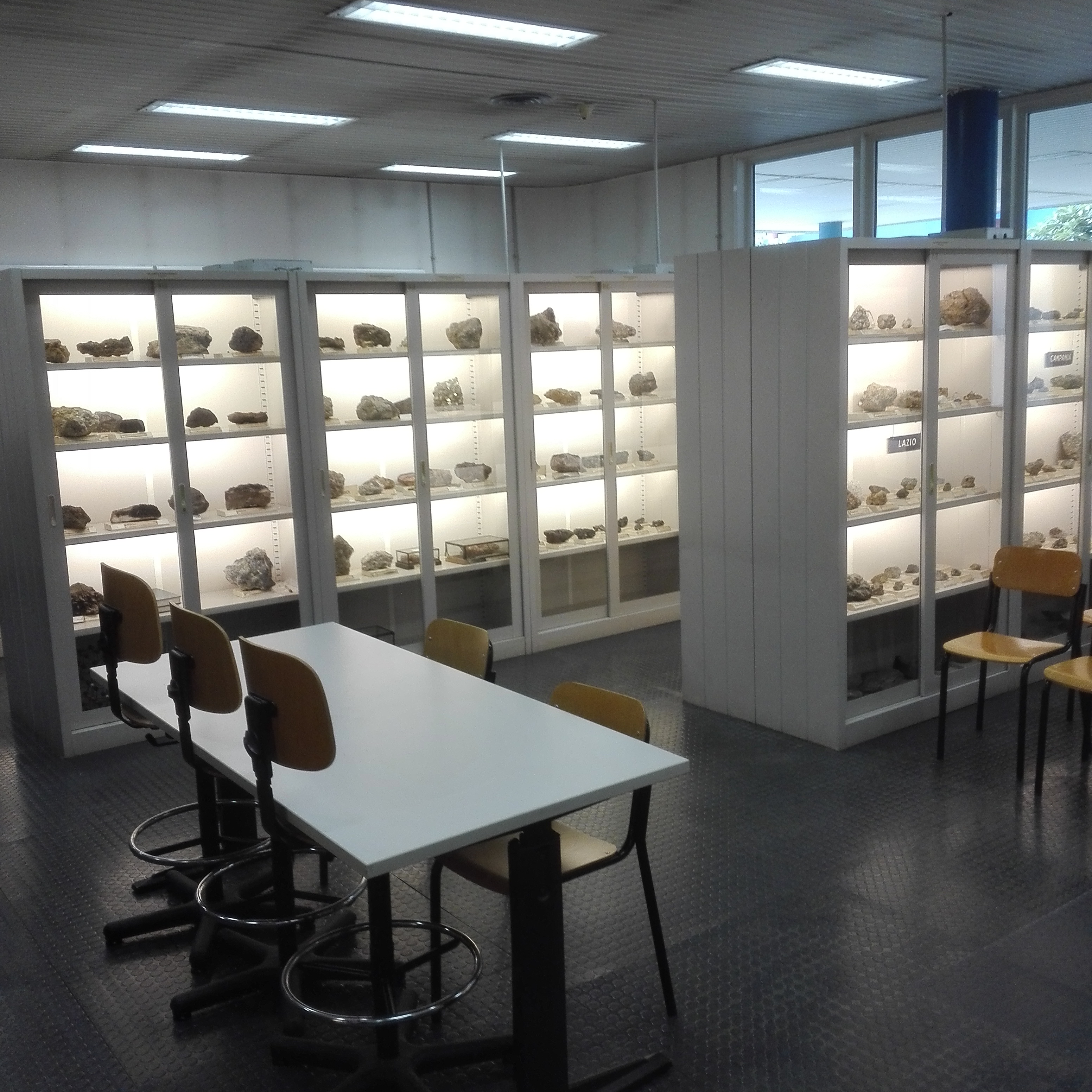 sistema museale ateneo pavia 2