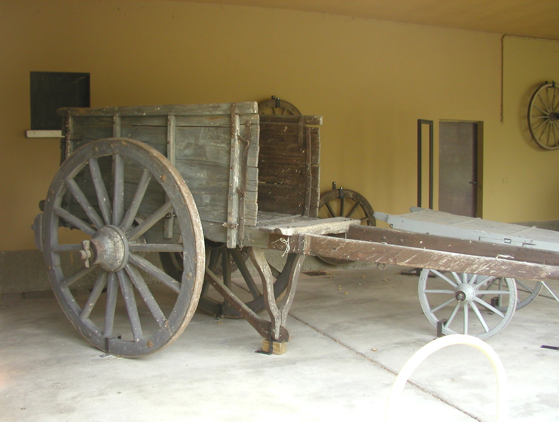 carro