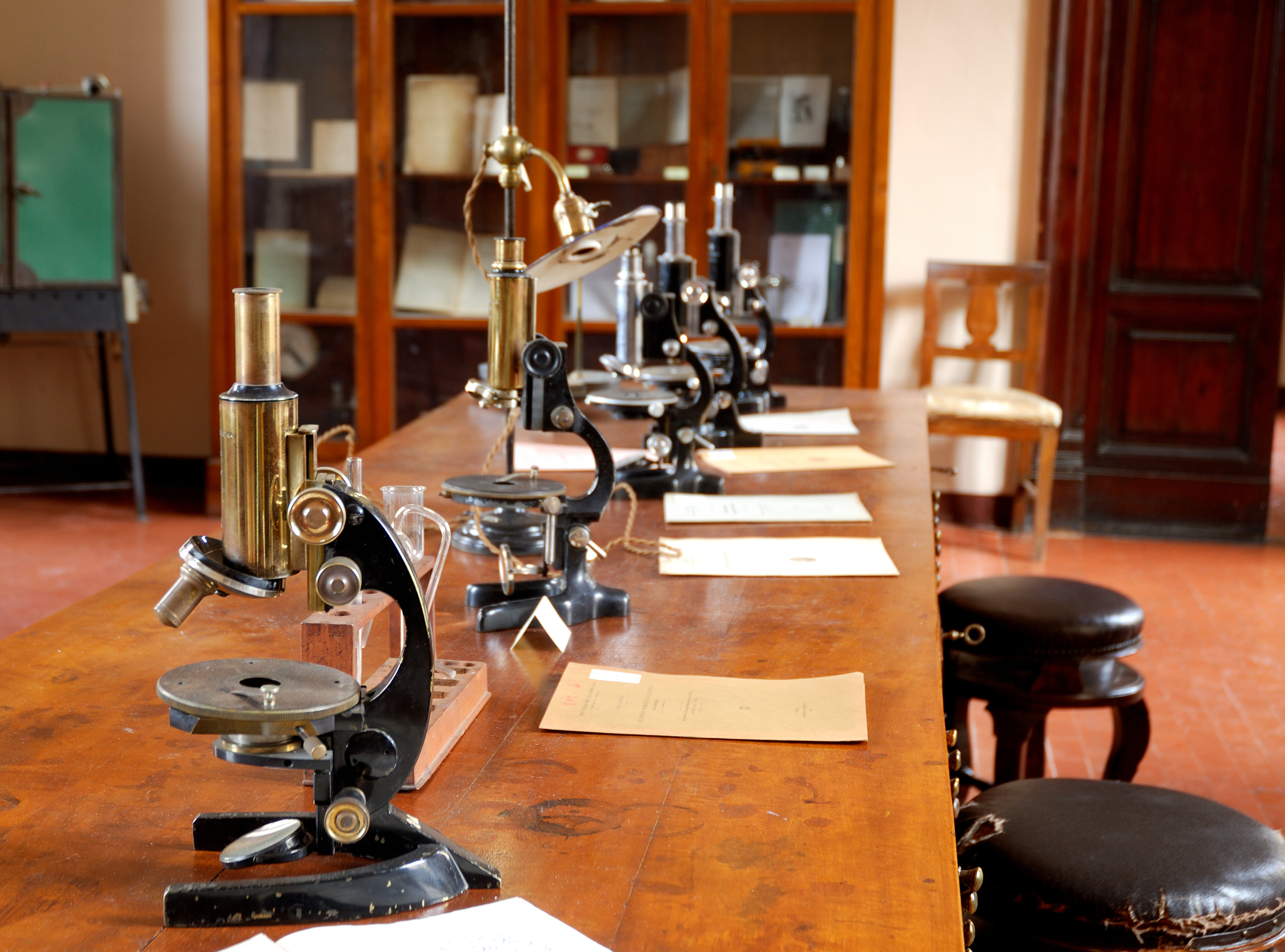 sistema museale ateneo 9