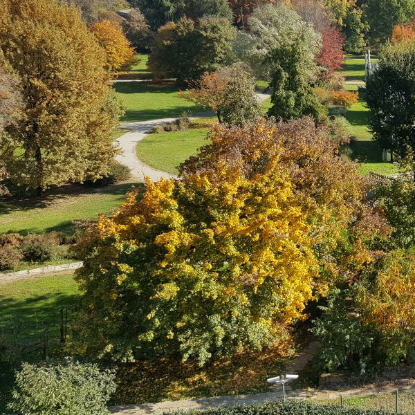 Milano, Orto Botanico Città Studi