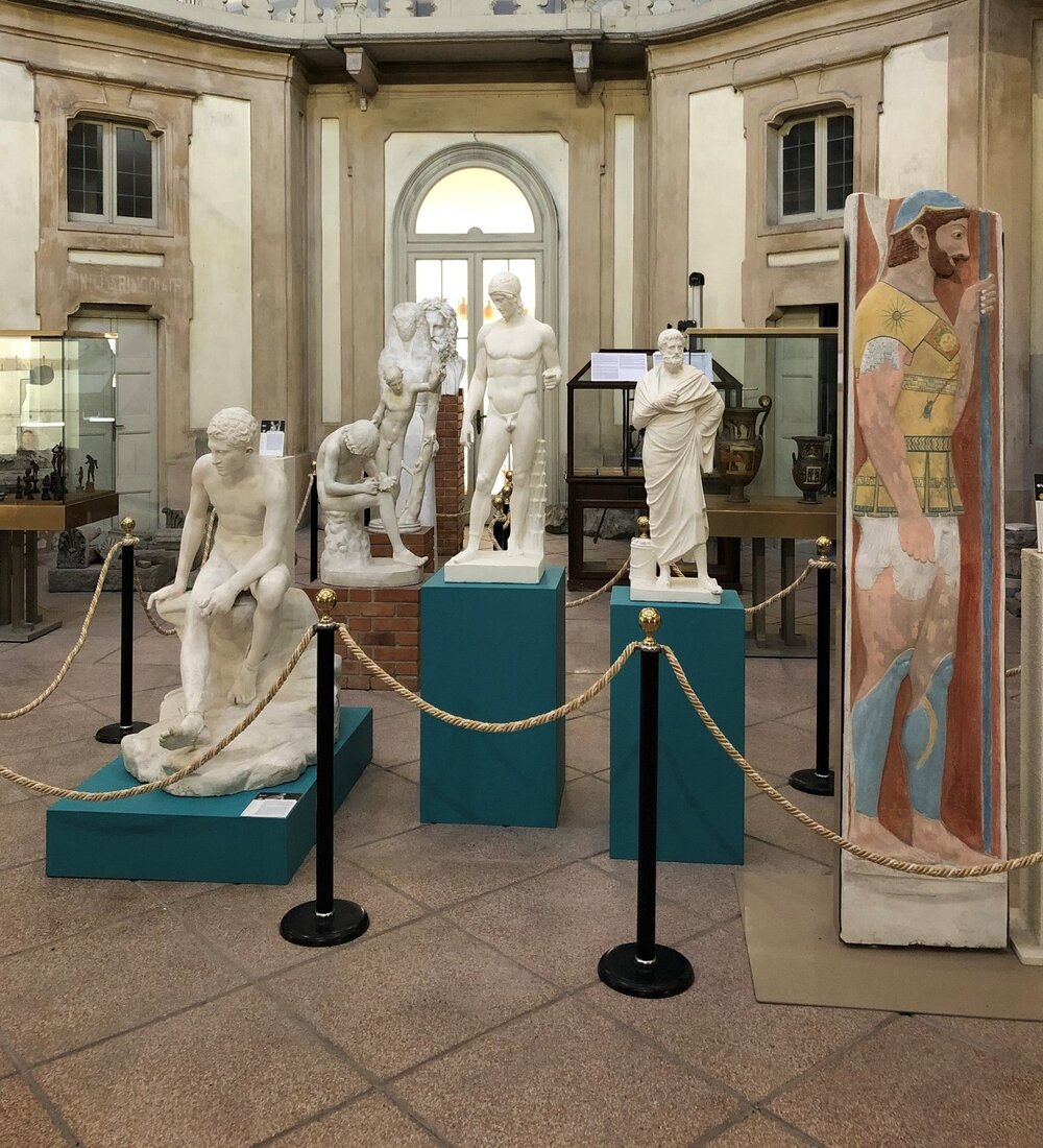 sistema museale ateneo pavia 5