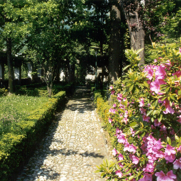 Chiavenna (SO), Museo della Valchiavenna | Parco Botanico Archeologico del Paradiso e Torrione – sezione naturalistica